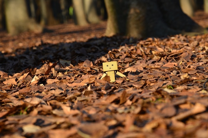 DSC_1195.JPG